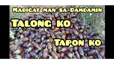 talong xxx|Pinay Talong Porn Videos .